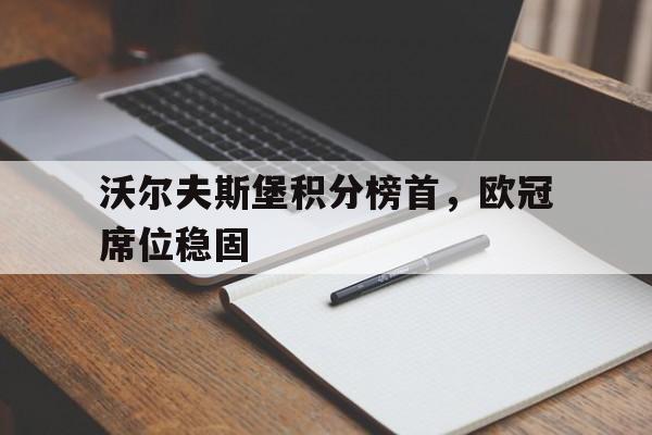 沃尔夫斯堡积分榜首，欧冠席位稳固